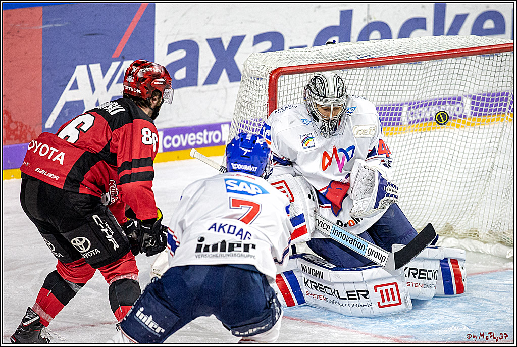 DEL; Koelner Haie - Adler Mannheim, 05.04.2019
